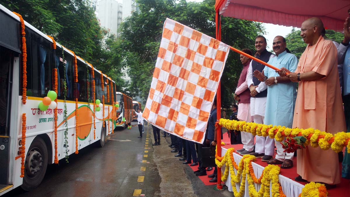 cm yogi.jpg