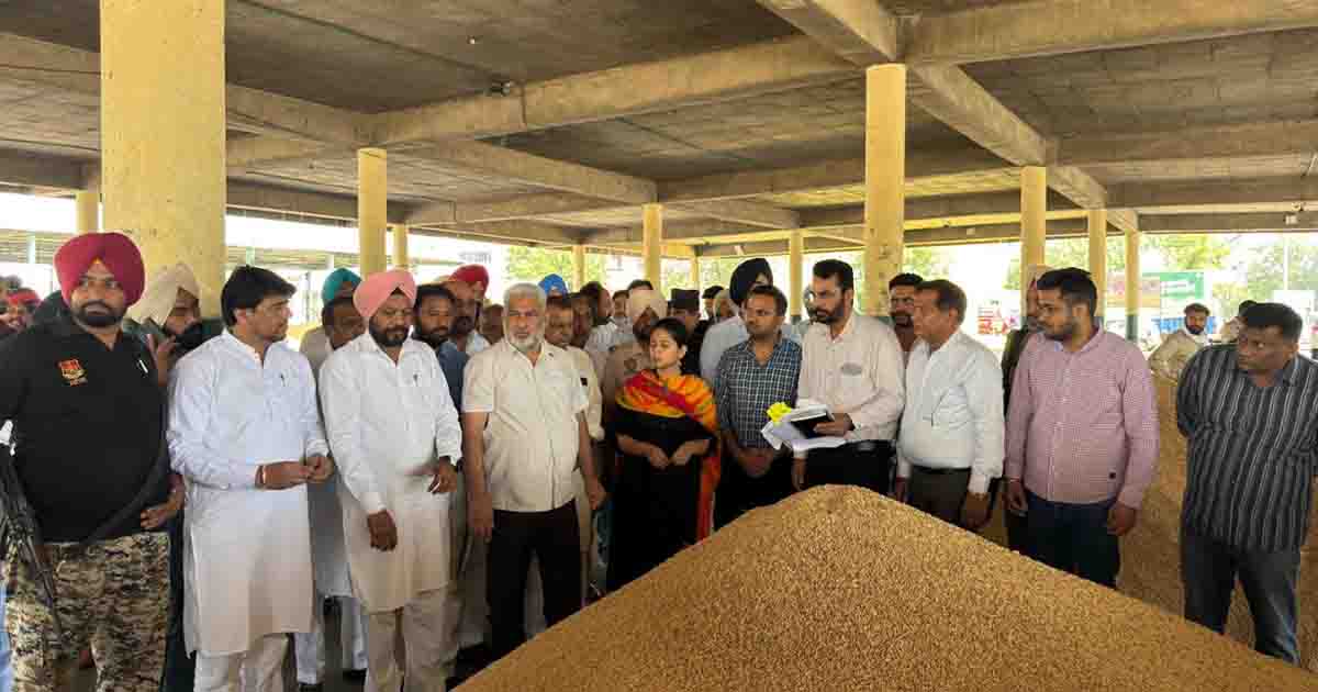 Punjab News: कैबिनेट मंत्री लाल चंद कटारूचक्क ने बठिंडा अनाज मंडी का किया दौरा 