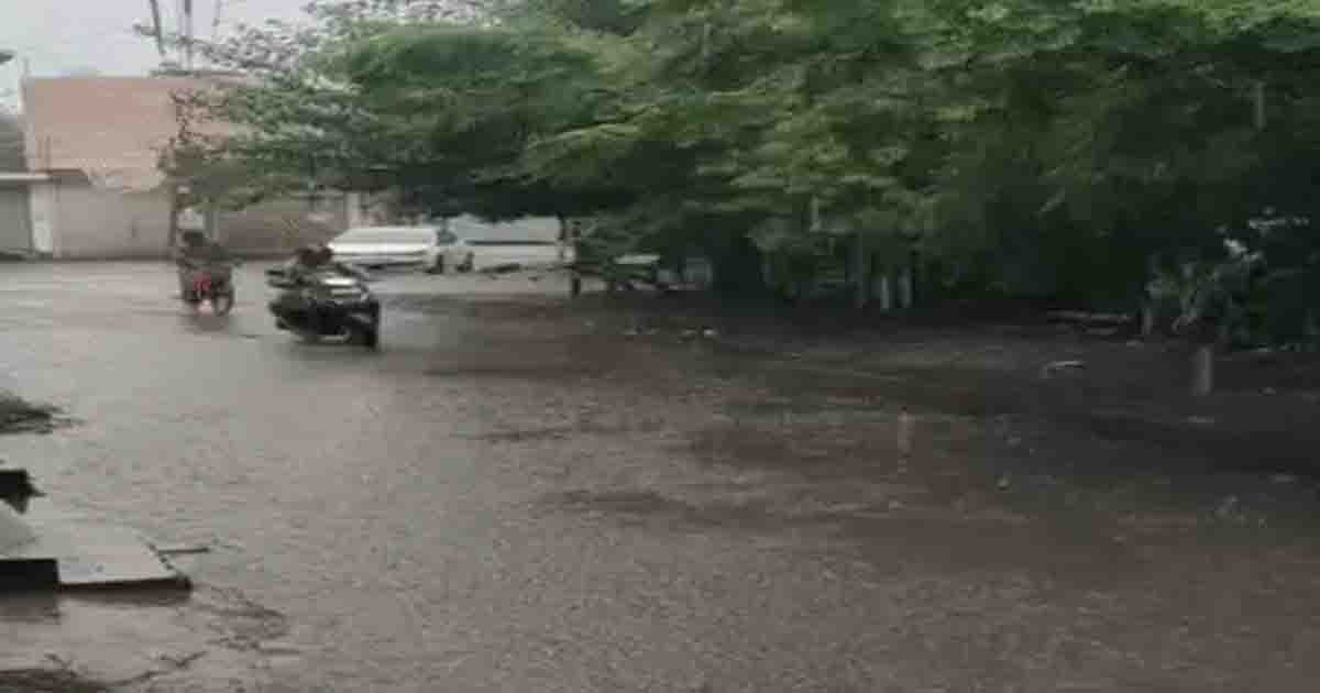 Punjab Weather Update: पंजाब में मानसून फिर एक्टिव, जालंधर-पठानकोट में झमाझम बारिश; तापमान भी गिरा