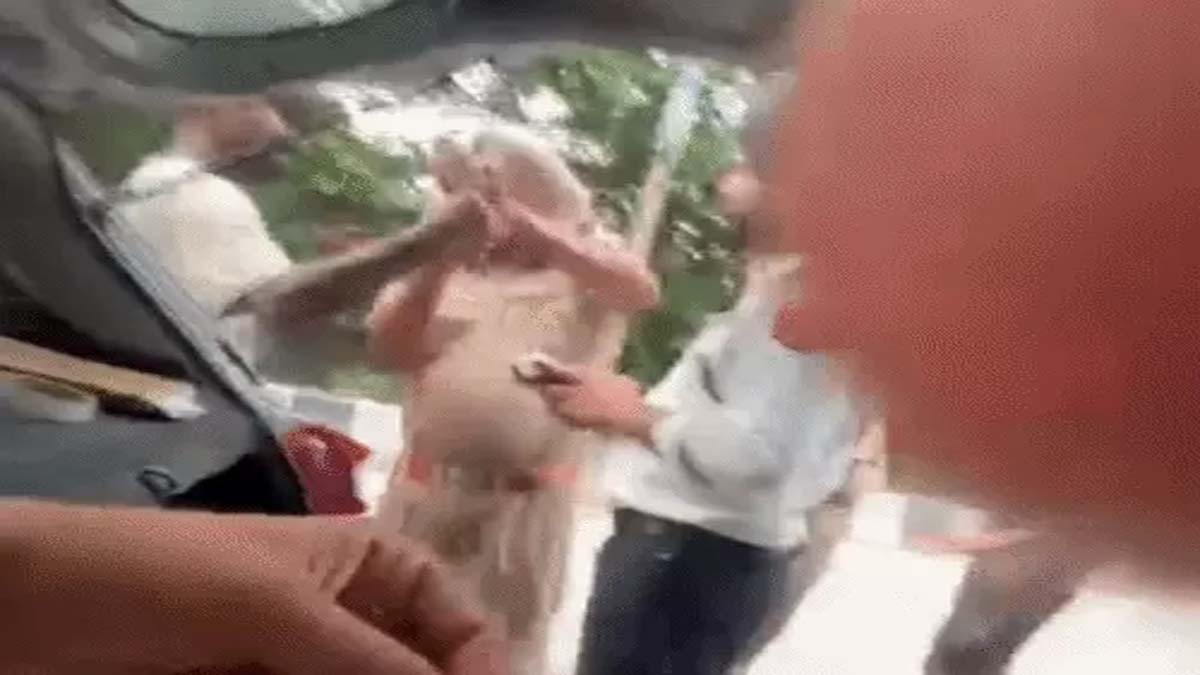 जालंधर में चालान के दौरान पुलिस ने युवक को मारा थप्पड़, वीडियो वायरल