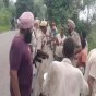 गुरदासपुर में AAP और कांग्रेस समर्थकों में हिंसक झड़प, तीन घायल