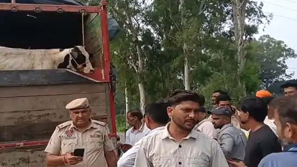 सुजानपुर में मवेशियों से भरा ट्रक पकड़ा गया, पुलिस ने शुरू की जांच