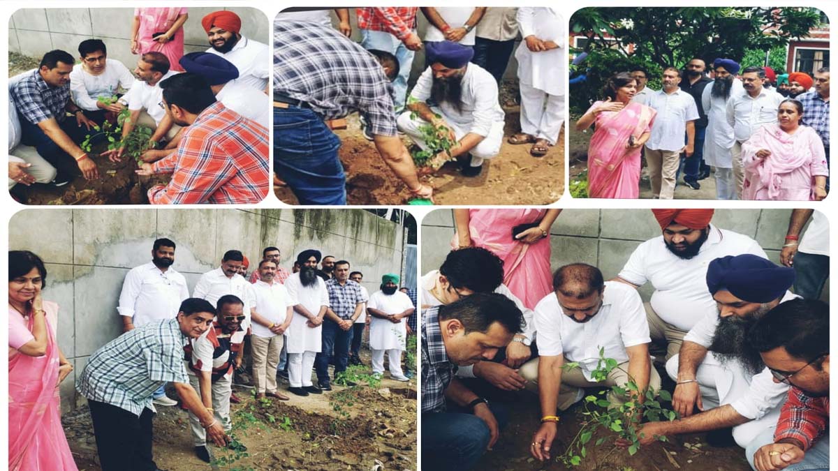 DIPS News: डिप्स नूरमहल में भव्य वृक्षारोपण अभियान का आयोजन, पर्यावरण संरक्षण का दिया सशक्त संदेश