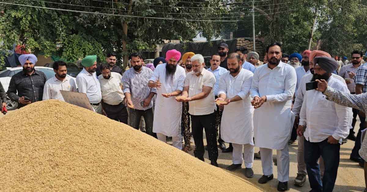 Punjab News: किसानों से धान खरीद में नहीं आएगी दिक्कत: भगवंत मान सरकार ने किए व्यापक प्रबंध