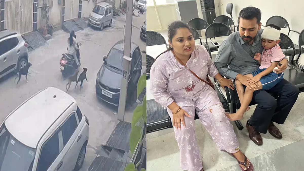 जालंधर में आवारा कुत्तों का आतंक, मां-बेटा हमले में घायल; लोगों में रोष