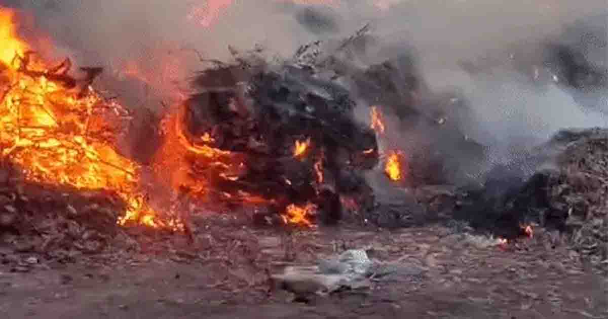 Punjab News: मोहाली के RMC पॉइंट पर भीषण आग, 16 फायर टेंडर मौके पर; धुएं से लोगों की बढ़ी परेशानी