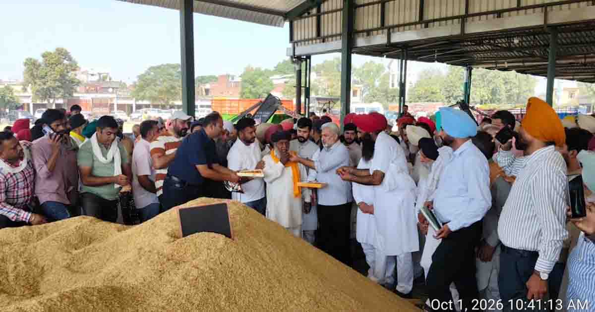Punjab News: पंजाब सरकार ने पिछले 9 सीज़नों के दौरान फसलों की खरीद सफलतापूर्वक करवाई, यह सीज़न भी होगा सफलतापूर्वक संपन्न 