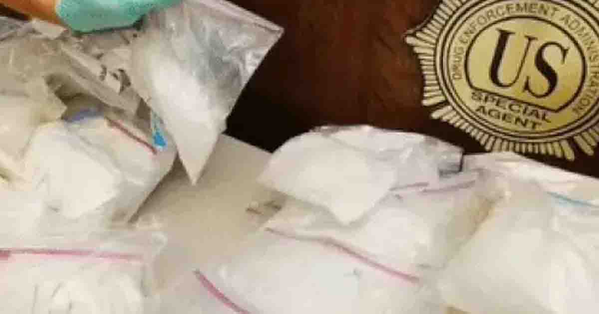California Drug Bust: पंजाब निवासी कवंलप्रीत गिरफ्तार, 40 किलो कोकीन और पिस्तौल बरामद