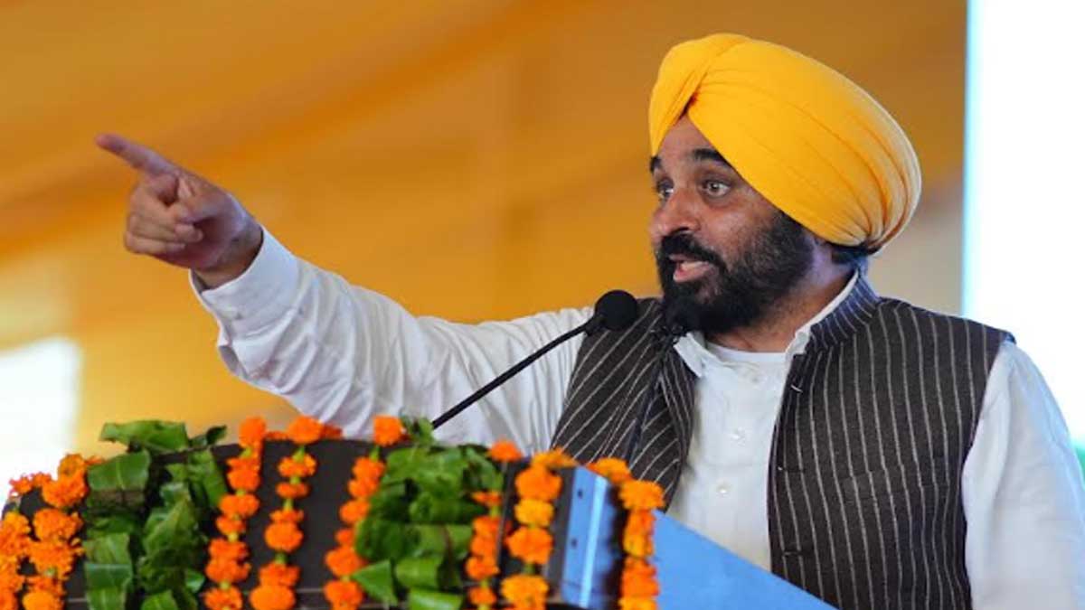 Punjab News: पंजाब की 29 नामी शख्सियतों को स्टेट अवॉर्ड, CM भगवंत मान ने किया सम्मानित
