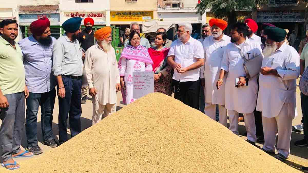 Punjab News: कैबिनेट मंत्री कटारूचक ने अनाज मंडी में धान खरीद प्रबंधों का लिया जायजा