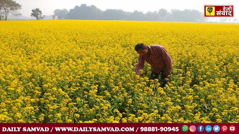 Punjab News: पंजाब की मंडियां किसानों के स्वागत के लिए तत्पर