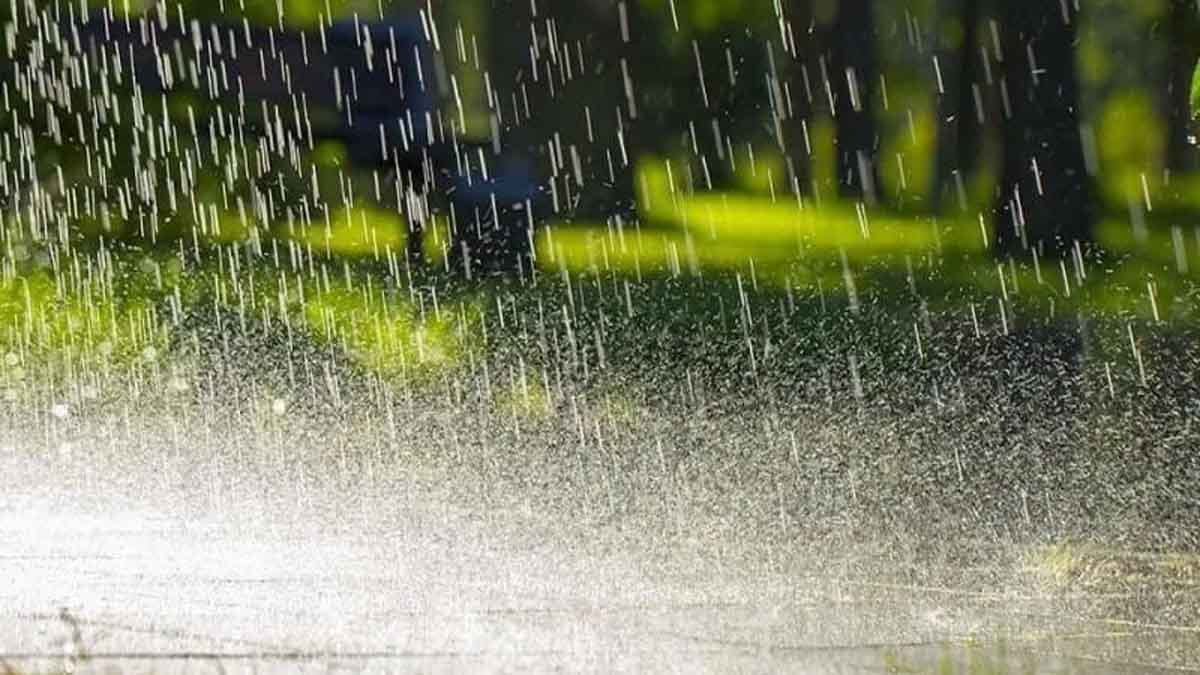 देशभर में भारी बारिश का अलर्ट: 22 राज्यों में IMD की चेतावनी, पंजाब और यूपी में तेज बारिश की संभावना
