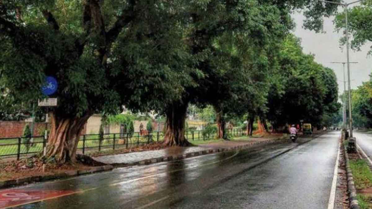 Punjab Weather Update