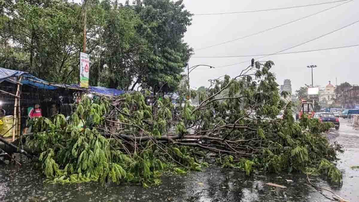 Weather News: भीषण आंधी, बारिश और ओलावृष्टि ने मचाई तबाही, कई राज्यों में 47 से अधिक लोगों की मौत