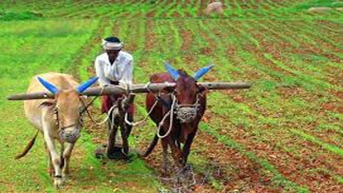 Haryana News: सरकार ने किसानों के लिए उठाया बड़ा कदम, जल्द करें आवेदन