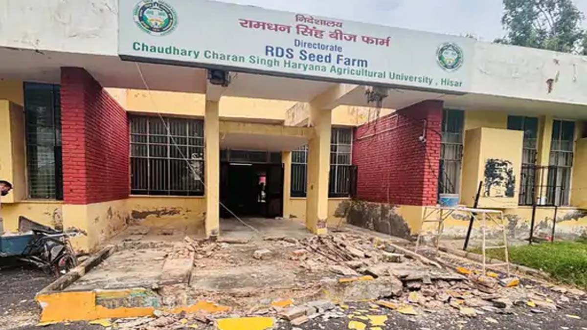 Haryana News: यूनिवर्सिटी का छज्जा गिरने से बड़ा हादसा, एक की मौत