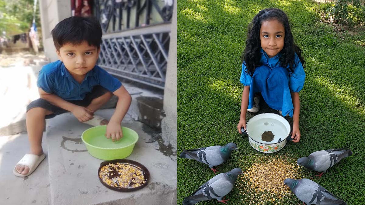 भीषण गर्मी में पक्षियों के लिए सेंट सोल्जर ग्रुप के विद्यार्थी बन सहारा निभाई सामाजिक जिम्मेदारी