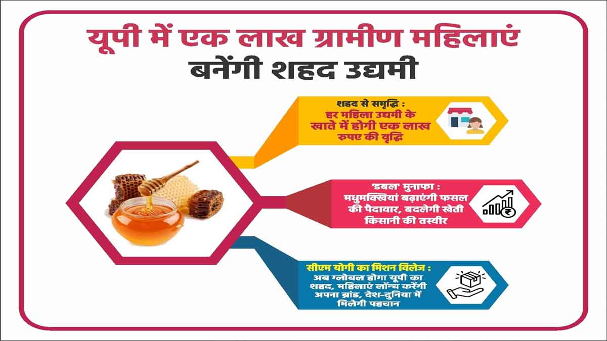UP News: यूपी में एक लाख ग्रामीण महिलाओं के जीवन में मिठास घोलेगा शहद