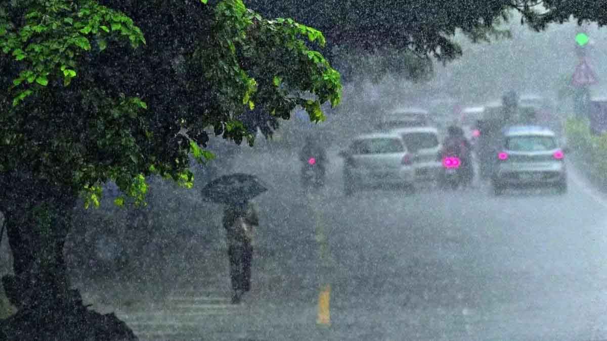 पंजाब में भारी बारिश का अलर्ट: 7 जिलों में येलो अलर्ट जारी, जानें मौसम विभाग का ताजा अपडेट