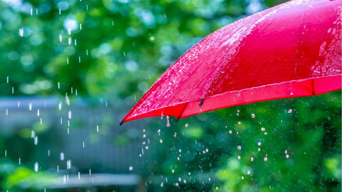 पंजाब-चंडीगढ़ में आज भी गर्मी-उमस, कई जिलों में बारिश के आसार