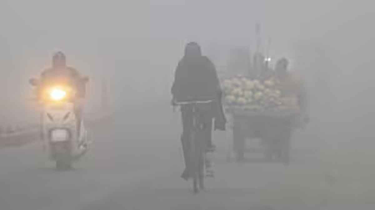 Punjab Weather Update: आज पंजाब में ऑरेंज अलर्ट जारी, विजिबिलिटी शून्य, जाने आने वाले दिनों के मौसम का हाल