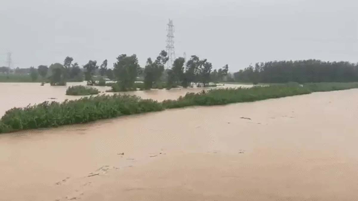 पठानकोट के जलालिया दरिया में उफान