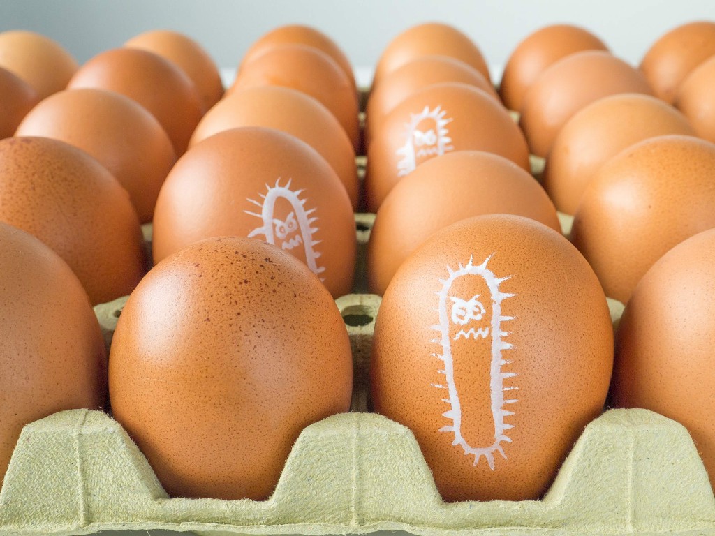 storing eggs at room temperature, keeping eggs in fridge, keeping eggs in refrigerator, Should eggs be kept in the fridge or not, Egg should be refrigerated or not, benefits of egg, how to store eggs at home, how to store eggs for a long time, अंडे को फ्रिज में रखना चाहिए या नहीं, अंडे के फायदे, अंडे को घर पर कैसे स्टोर करें, अंडे को लंबे समय तक कैसे स्टोर करें,