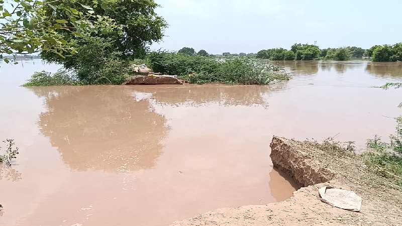 flood in punjab 5