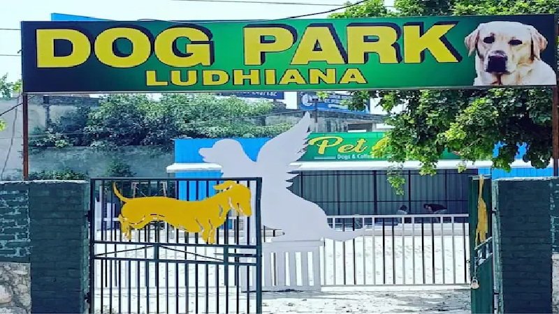 Dog Park In Ludhiana