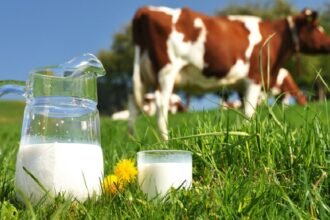 Bird Flu Detected In Cow Milk