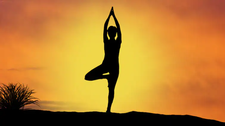 International Yoga दिवस 2024 के अवसर पर, योग करते समय बरतें ये 10 सावधानियाँ
