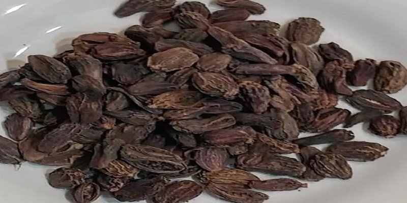 Benefits of Black Cardamom