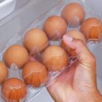 Egg should be refrigerated or not