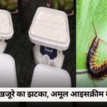 Amul ice cream centipede: चौंकाने वाली घटना! भरोसा टूटा, अमूल आइसक्रीम में मिला कनखजूरा, खतरे में सेहत?