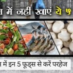 Monsoon food safety: मानसून में इन 5 फूड्स से करें परहेज, बन सकते हैं बैक्टीरिया का घर, तुरंत बदलें अपनी डाइट
