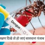 Punjab Monsoon News : मानसून में डेंगू(Dengue)से कैसे बचें? जानें पंजाब स्वास्थ्य विभाग की अहम सलाह!