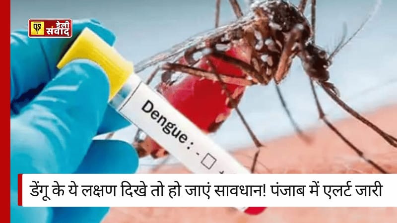 Punjab Monsoon News : मानसून में डेंगू(Dengue)से कैसे बचें? जानें पंजाब स्वास्थ्य विभाग की अहम सलाह!