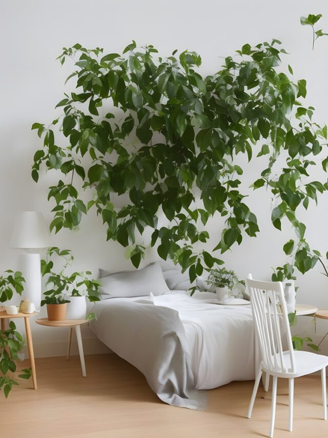 रात भर आराम से सोएं, तनाव को करें दूर! बेडरूम के लिए ये फायदेमंद पौधे हैं बेस्ट