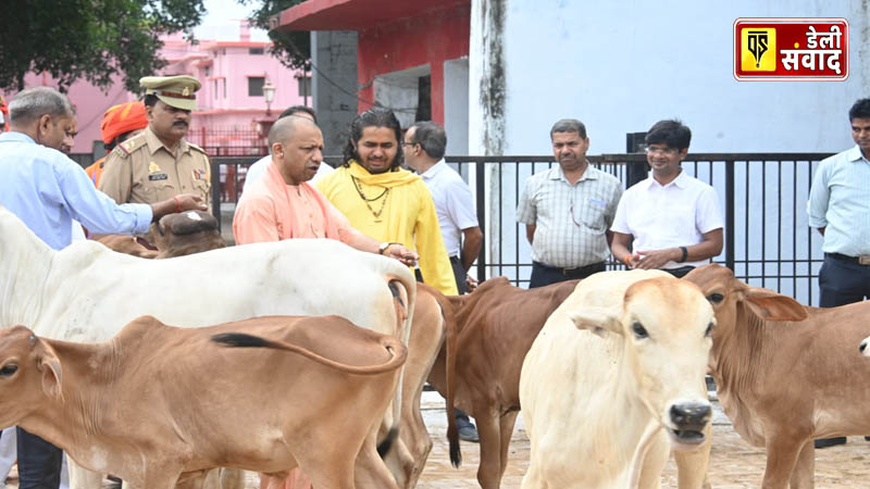 CM Yogi Adityanath did cow service in the cowshed of Gorakhnath temple