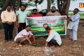 Under Swachhata Hi Seva, plantation campaign 'One tree in the name of mother' was started in the villages