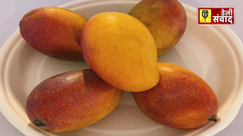 And the king of fruits, mango, will become more special