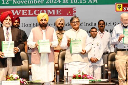 Guide farmers to adopt crop diversification to save Punjab