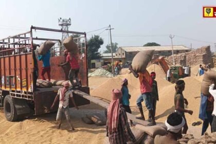 Jalandhar administration lifted more than 32 thousand metric tonnes of paddy in a day