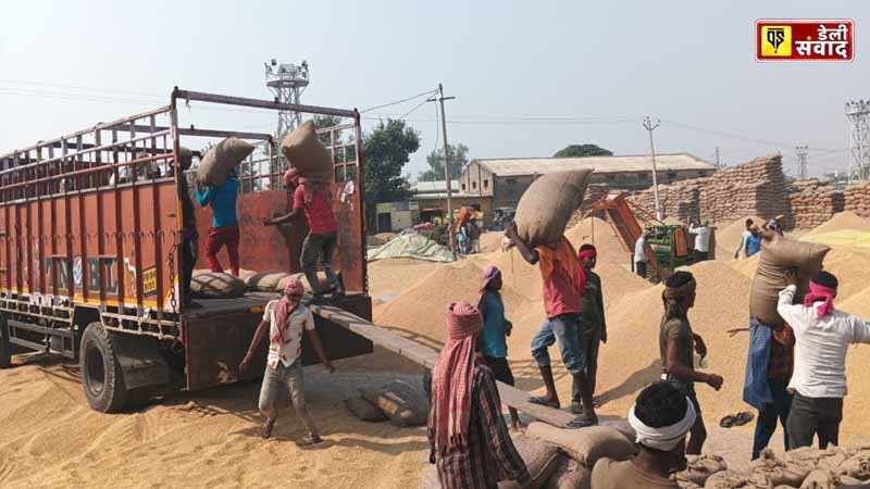 Jalandhar administration lifted more than 32 thousand metric tonnes of paddy in a day