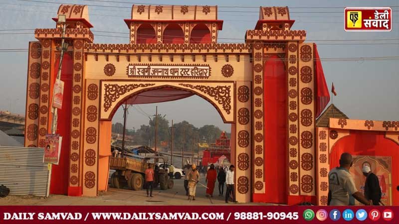 attractive entrances of the pandals