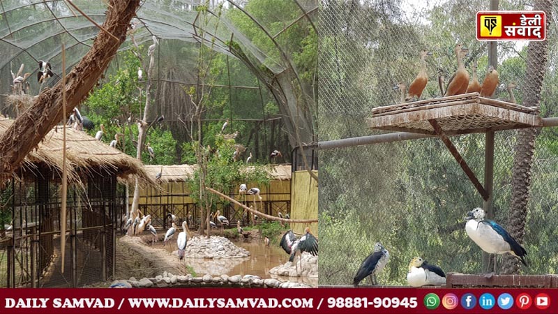 The country's largest and longest walk-in aviary became the center of attraction in Chhatbir Zoo