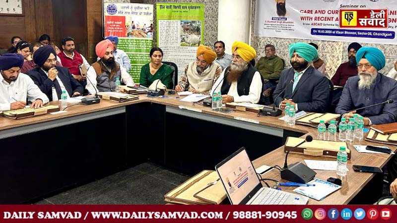 Free tetanus vaccination drive for horses, donkeys and mules by Punjab Govt