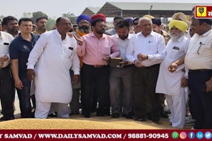 Cabinet Minister Goyal started the govt procurement of wheat