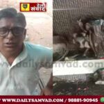 जालंधर में प्रमुख मंदिर में बेअदबी, पुजारी को पीटा, शनि महाराज की मूर्ति का सिर काटा