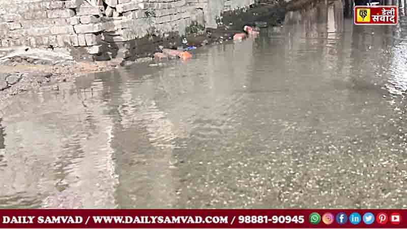 Jalandhar West News